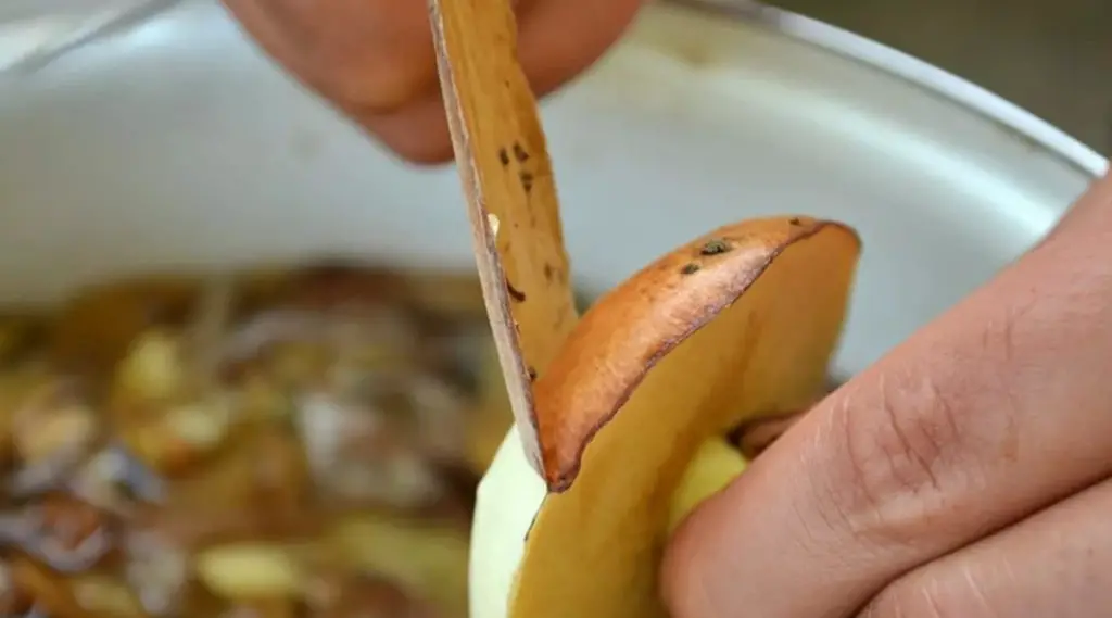 how to peel porcini mushrooms before freezing