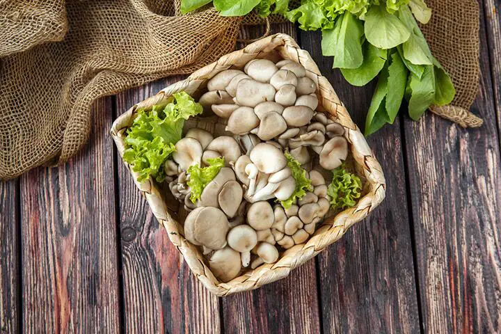 best way to preserve oyster mushrooms