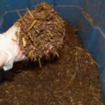 DIY Mushroom Substrate at Home (Suitable Compost, Recipes)