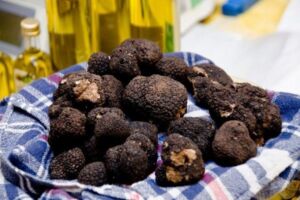 growing black truffles mushroom