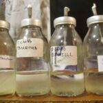 mushroom liquid culture