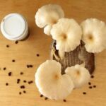growing shiitake mushrooms in coffee grounds