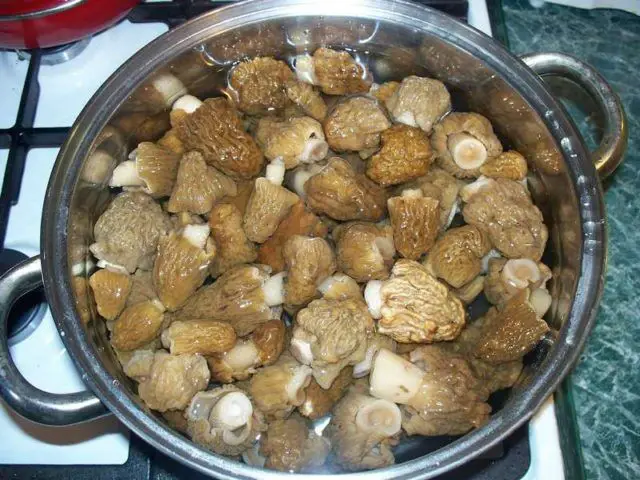 how long can you leave morels in water