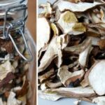 how long do dried magic mushrooms last