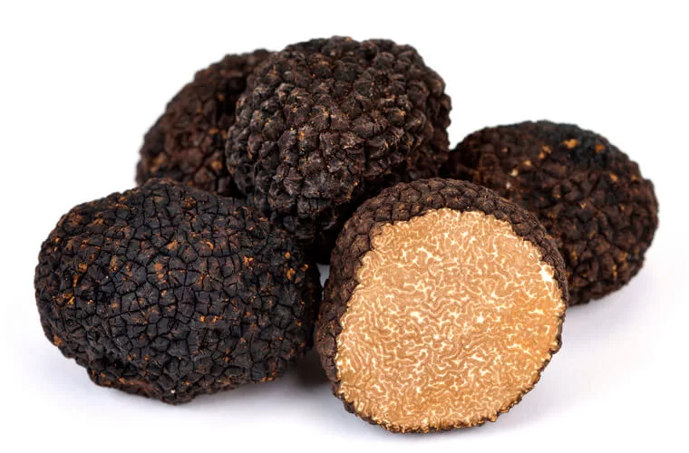 black autumn truffle