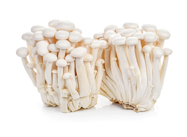 white beech mushrooms