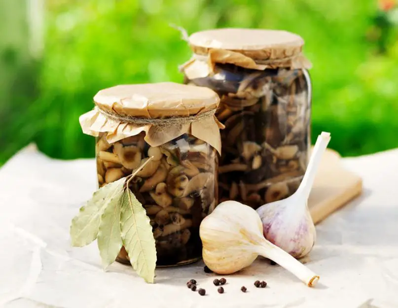 best mushrooms for pickling