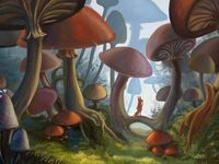 mushroom species