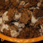 3 Best Way To Store Morel Mushrooms For Beginners at Home
