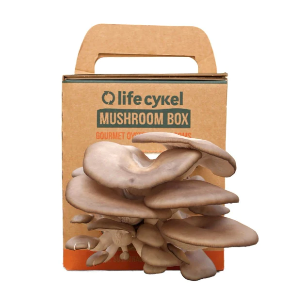 life cykel mushrooms ingredient quality